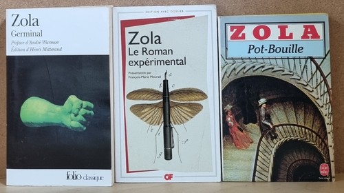 Poches emile zola - emile, roman