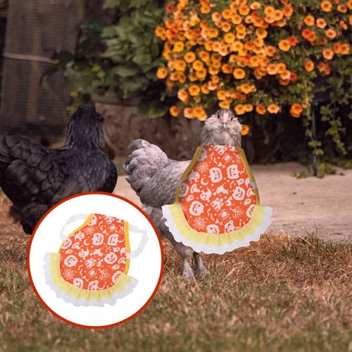 Poule poudre de canard - de,