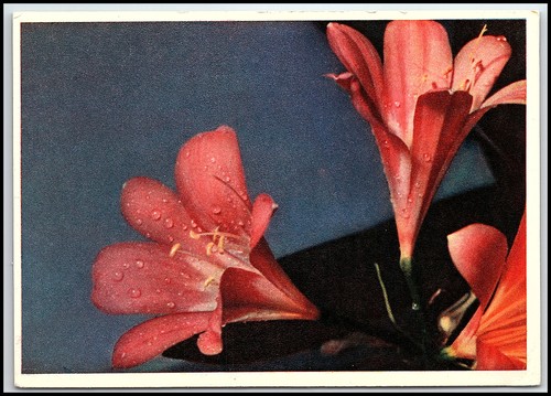 1962 urss soviétique pravda - 1962,