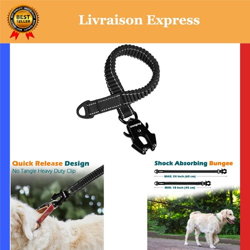 Extension laisse élastique - extension,