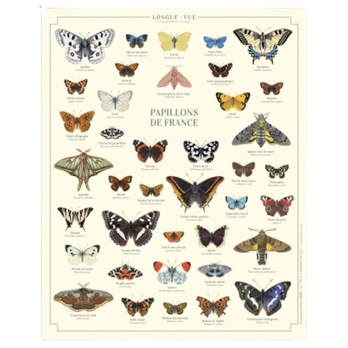 Papillons france affiche - de,