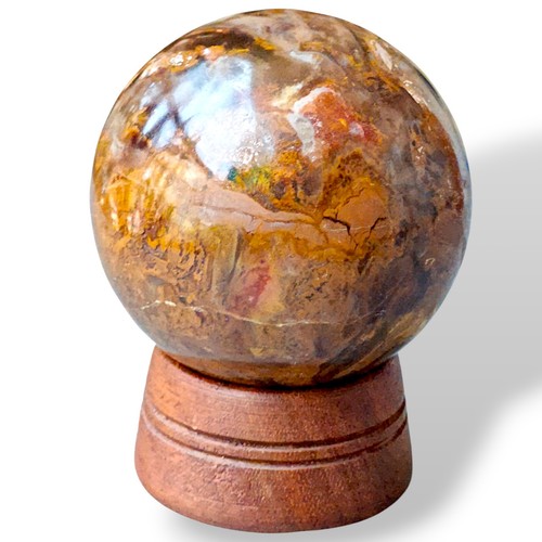Sphère bois pétrifié - , 2,5"