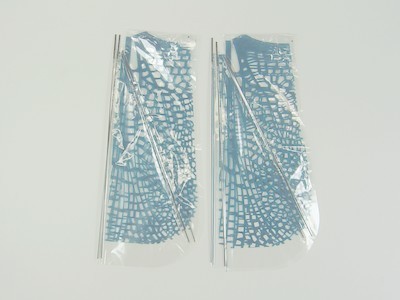 Ailes rechange pour insecte - rechange,