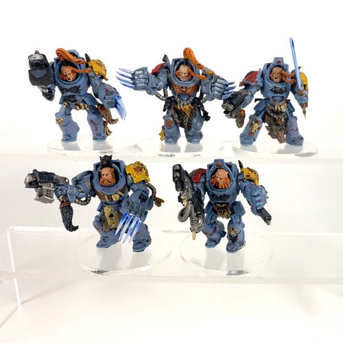 Terminators gardes loups - x5,