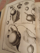 COURS COMPLET D'AGRICULTURE-TOME 1-ABBE ROZIER- SERPENTE-1781-E.O-21 PLANCHES