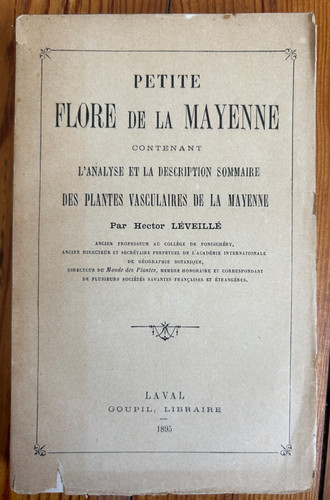 1895 hector léveillé petite - hector,