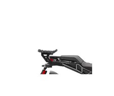 HARLEY DAVIDSON 1250 PAN