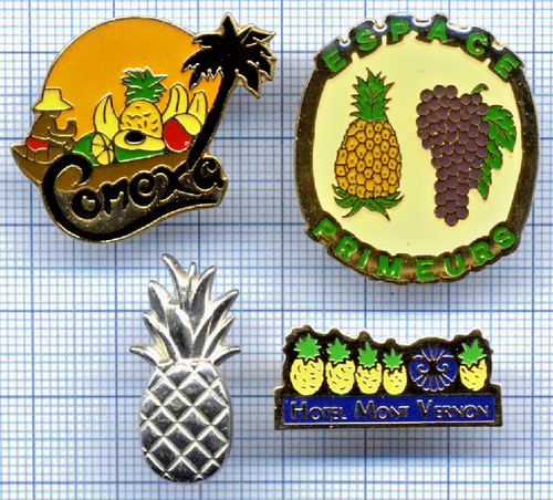 Lot pin ananas corbeille de - pin's,