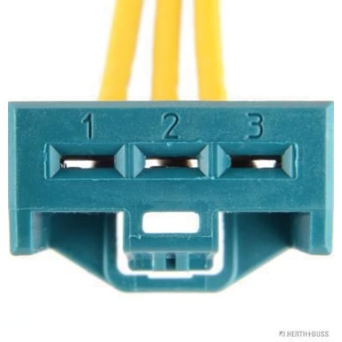Hammond buss - hammond, +