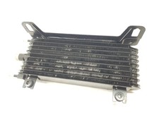 217531895R radiateur boîte