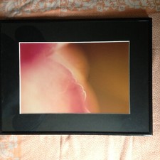 MARCELINO JIMENEZ (Fleur) Photographie Signée au Dos