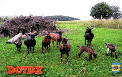 Amateur ham radio qsl qso - qsl,