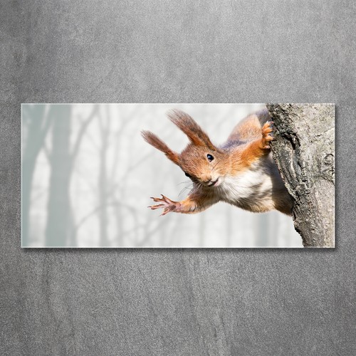 Tulup image sur verre - verre, trempé