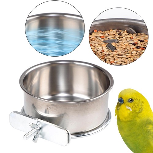 Mangeoire pour oiseaux bol - mangeoire,