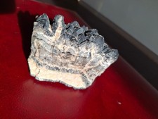 Grand specimen de quartz fumé
