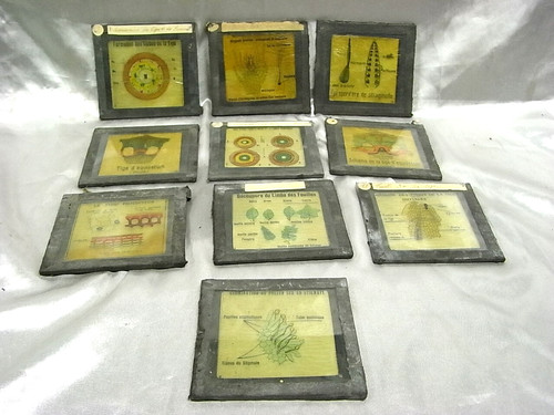 10 plaques verre - 🇫🇷,