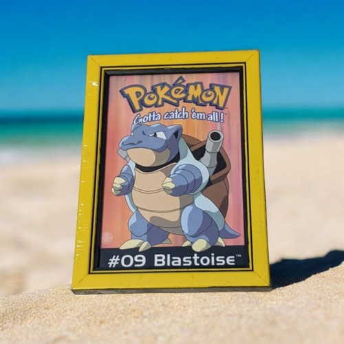 Pokémon frame - ,