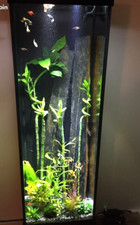 AQUARIUM COLONNE 180 LITRES EXCELLENT ETAT  AUCUNE RAYURES