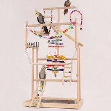 Aire de jeux pour perroquets
