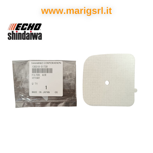 Filtre air echo - à,