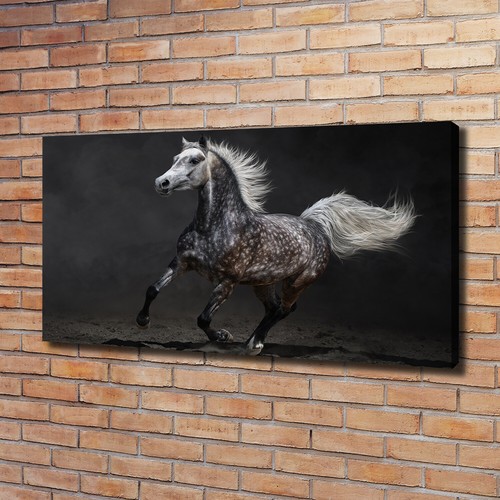Tulup image sur toile - tulup,