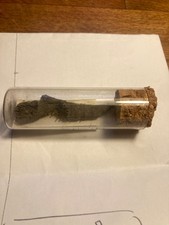 fossile a identifier