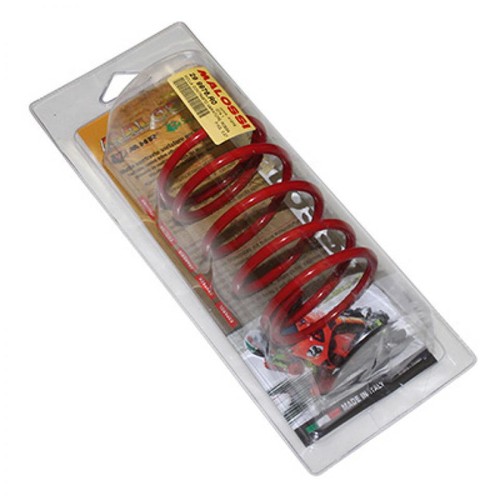 Ressort embrayage malossi - ressort, d