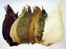 Plumes, Capes de Coq pour