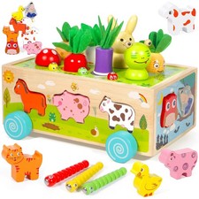 6 in 1 Montessori 1 an, Enfant Jouet Montessori 1 an, Jouet en Bois Bebe Voit...