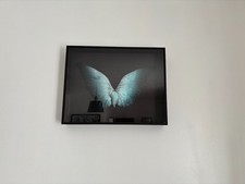 taxidermie Ailes d'oiseau sous