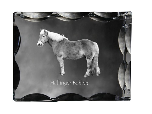 Haflinger poulain crystal - -,