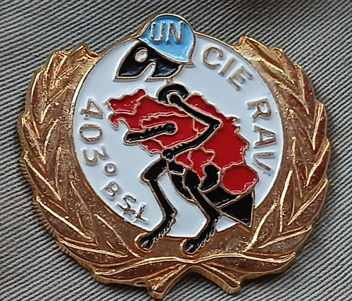 Insigne militaire 403 bsl - militaire,