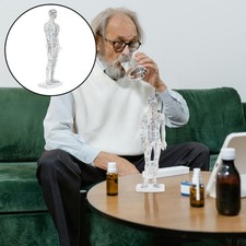  Modèle d'acupuncture humaine