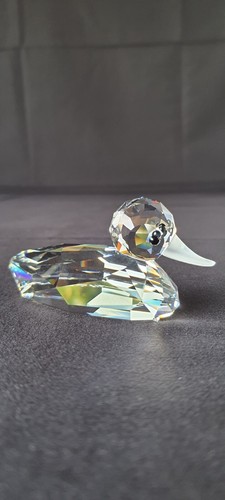 Canard colvert swarovski - canard,