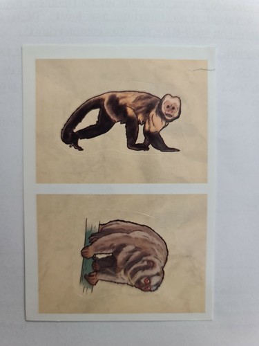 Image sticker autocollant