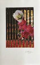 Jean Claude Chastaing - Photo montage - Fleur 1