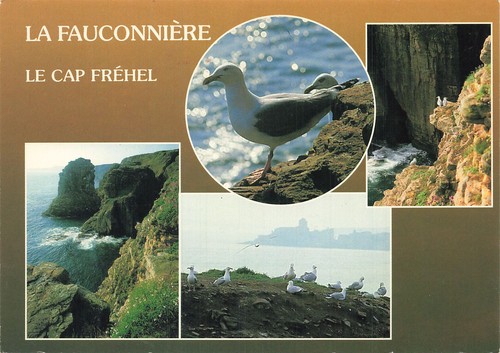 Frehel cap - 22,