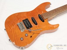 Wilkins Guitars Strato Type SSH avec étui souple USED