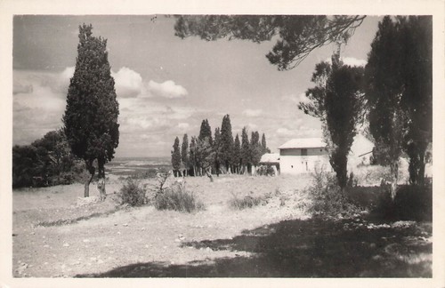 Cavaillon coline - 84,