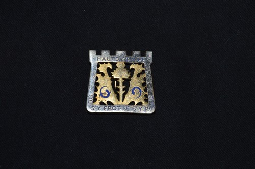 Insigne regiment - insigne, 69°
