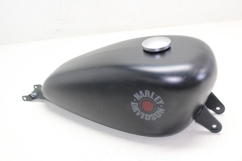 2021 2022 harley davidson - 2021-2022, iron