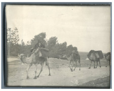 Turquie, Caravane de