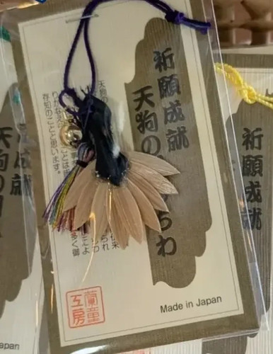 Amulette tengu magic fan - amulette, good