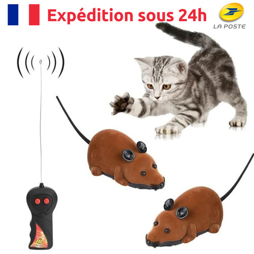 Mini souris électronique - souris,
