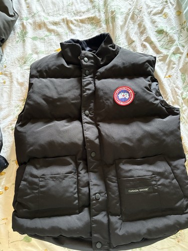 Canada goose - canada,