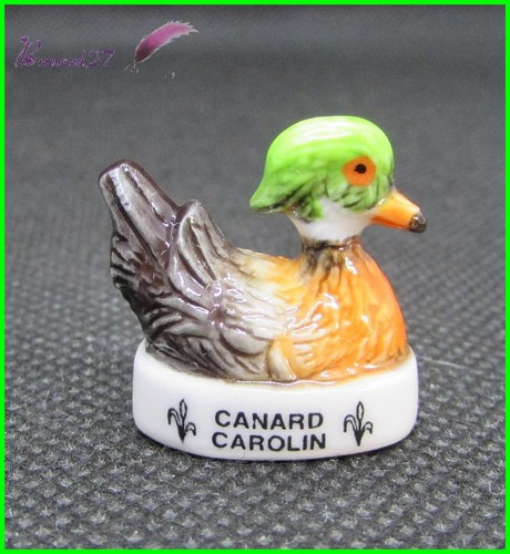Feve les races canard duck - les,
