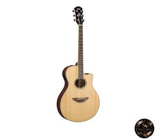 Guitare acoustique électrique