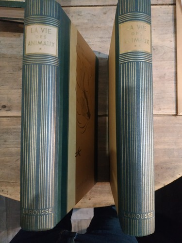Léon bertin vie des - bertin:,