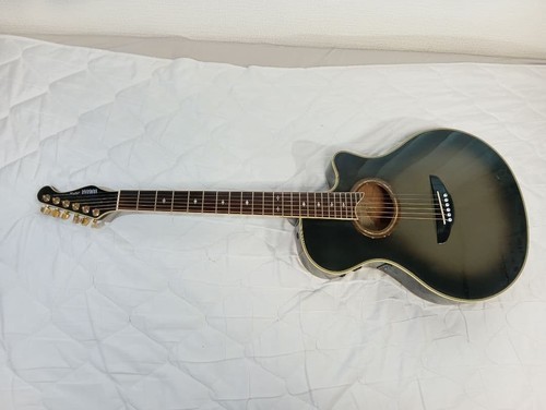 Guitare électrique acoustique