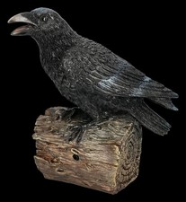 Figurine de Corbeau - Cri - Gothique Sorcières Déco Magie Accompagnateur - H 18